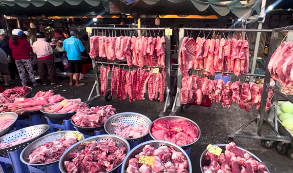 Giá heo hơi hôm nay 13.4.2026: Neo cao do chi phí đầu vào tăng