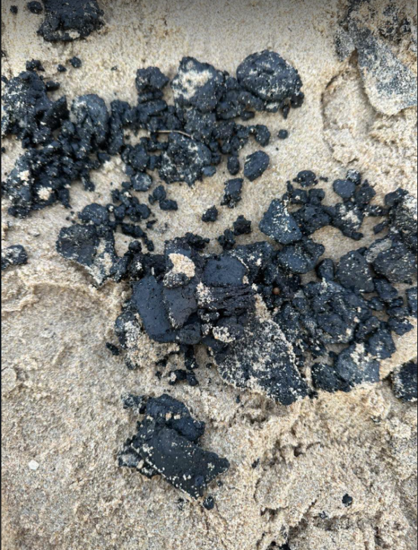 Huy động cả trăm người thu gom dầu vón cục trên bãi biển Cam Bình