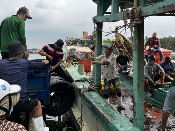 Khởi tố 55 vụ vi phạm khai thác thủy sản, An Giang quyết liệt gỡ 'thẻ vàng' IUU
