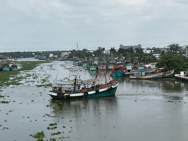 Khởi tố 55 vụ vi phạm khai thác thủy sản, An Giang quyết liệt gỡ 'thẻ vàng' IUU
