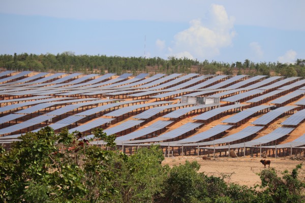 Lâm Đồng yêu cầu xử lý dứt điểm vướng mắc sân golf Đồi Cù, rừng dầu Hồng Liêm