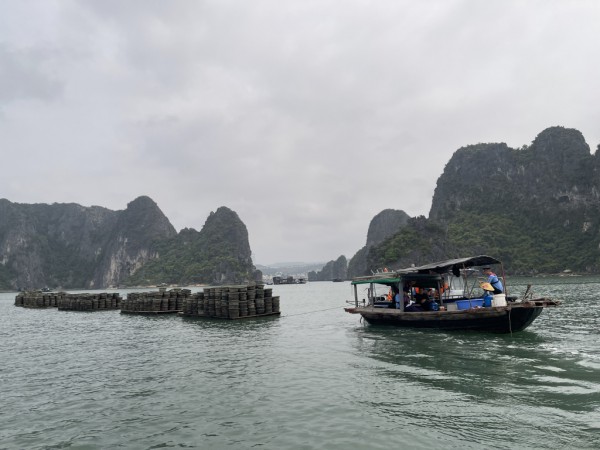 Nuôi thủy sản trái phép trên vịnh Hạ Long