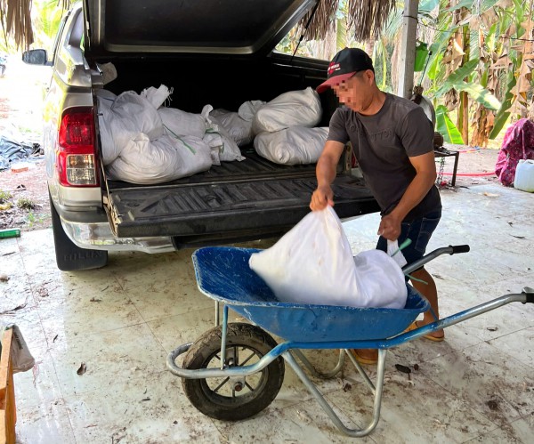 TP.HCM: Chặn xe bán tải, phát hiện 277 kg gà thối đưa đi tiêu thụ