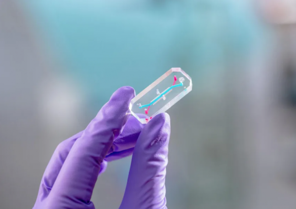 Thí nghiệm trên người ở Artemis 2 cho những chuyến đi xa hơn vào vũ trụ