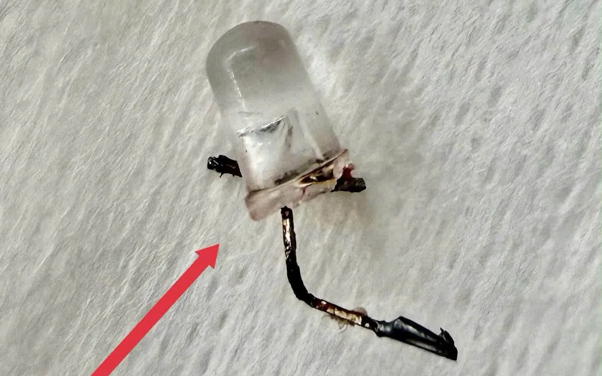 Dị vật bóng đèn LED được gắp ra ngoài. Ảnh: BVCC