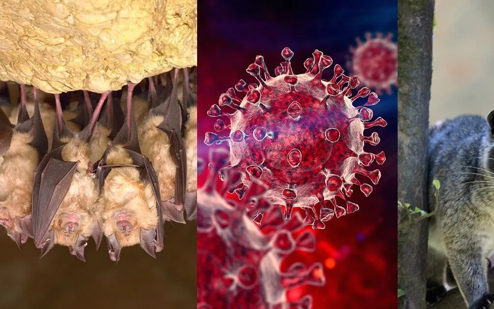 (Ảnh minh họa: ephotocorp)