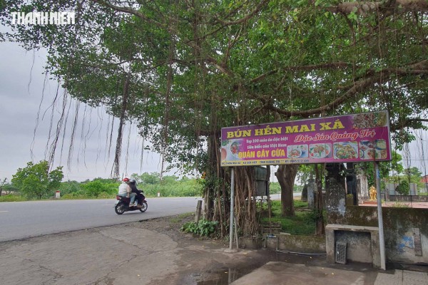 Bún hến Mai Xá: Món ngon Quảng Trị nổi tiếng vì cách trộn khác lạ Bún hến Mai Xá: Món ngon Quảng Trị nổi tiếng vì cách trộn khác lạ
