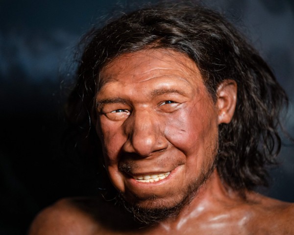 59.000 năm trước, người Neanderthal đã biết trị sâu răng?