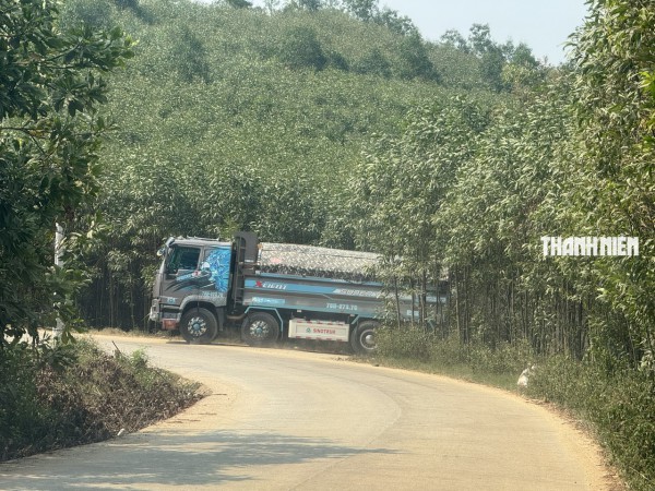 Vụ hút cát cạnh thủy điện Trà Khúc 2: Chủ tịch UBND tỉnh Quảng Ngãi yêu cầu làm rõ