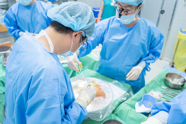 12 bệnh nhân được 'hồi sinh' nhờ 2 người chết não hiến tạng