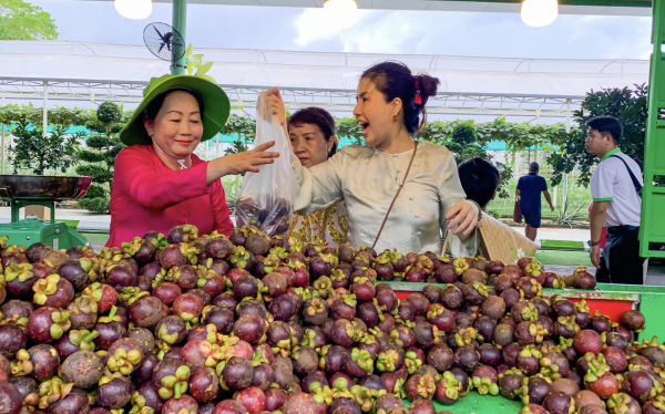 Lễ hội trái cây Nam bộ: Độc lạ món bò nướng từ 26 loại trái cây sắp trình làng Lễ hội trái cây Nam bộ: Độc lạ món bò nướng từ 26 loại trái cây sắp trình làng