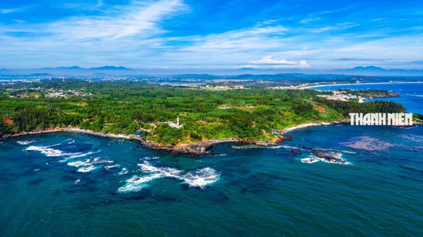 Mùa 'lộc biển' trên bãi đá núi lửa triệu năm ở Quảng Ngãi