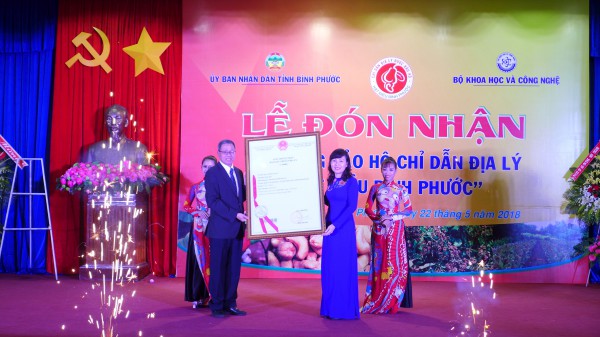 Đồng Nai: Nơi có hạt điều 'ngon nhất thế giới'