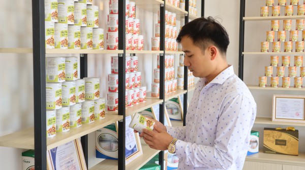 Đồng Nai: Nơi có hạt điều 'ngon nhất thế giới'