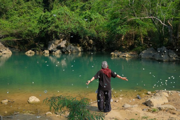 Mê mẩn mùa bướm trắng ở Phong Nha