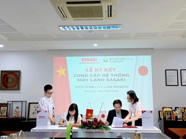 Cần cơ chế đặc biệt để hình thành thêm “sếu đầu đàn” Cần cơ chế đặc biệt để hình thành thêm “sếu đầu đàn”