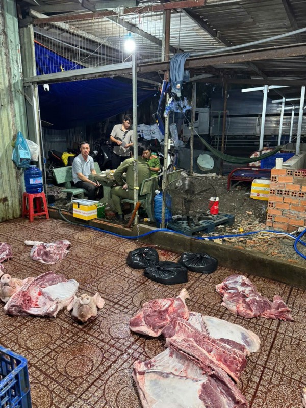 Kiểm tra xe tải vào TP.HCM, phát hiện 620 con vịt không kiểm dịch Kiểm tra xe tải vào TP.HCM, phát hiện 620 con vịt không kiểm dịch