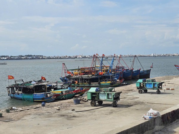 Cận cảnh dùng cả ngàn khối vỏ sò, ốc san lấp trái phép bờ sông Cửa Lấp