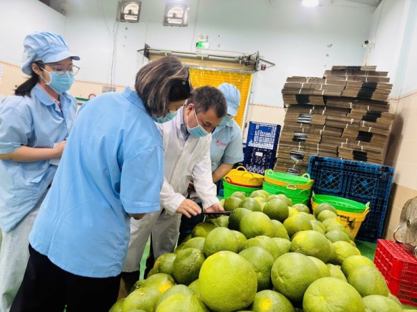 "Chìa khoá" cho doanh nghiệp xuất khẩu bưởi, chanh tăng tốc "Chìa khoá" cho doanh nghiệp xuất khẩu bưởi, chanh tăng tốc