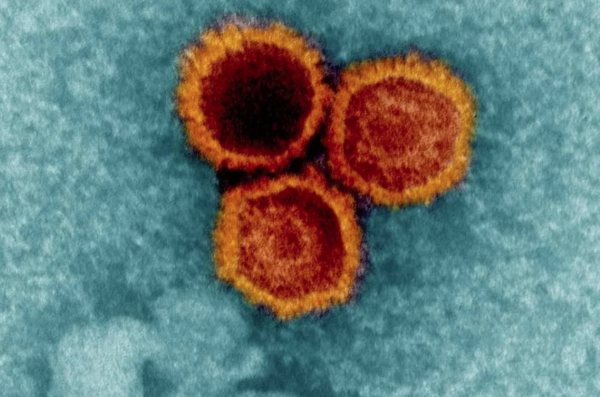 Chìa khóa đối phó loại virus có ở 95% dân số toàn cầu