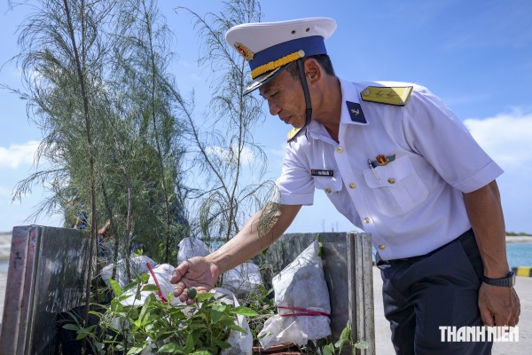 Gói trọn ân tình gửi Trường Sa