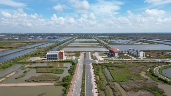 Khu tôm công nghệ cao 338 tỉ đồng tại Cà Mau bây giờ ra sao? Khu tôm công nghệ cao 338 tỉ đồng tại Cà Mau bây giờ ra sao?