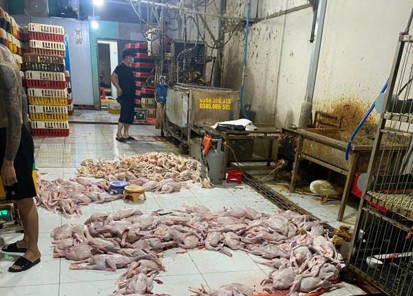TP.HCM: Kiểm tra chợ Mỹ Phước 3, phát hiện nhiều điểm giết mổ gia cầm trái phép TP.HCM: Kiểm tra chợ Mỹ Phước 3, phát hiện nhiều điểm giết mổ gia cầm trái phép
