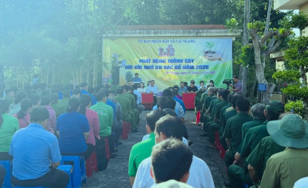 Trồng tre Đằng Ngà, tre Mạnh Tông nhân ngày sinh nhật Bác Hồ Trồng tre Đằng Ngà, tre Mạnh Tông nhân ngày sinh nhật Bác Hồ