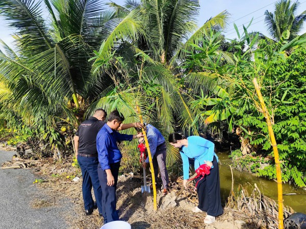 Trồng tre Đằng Ngà, tre Mạnh Tông nhân ngày sinh nhật Bác Hồ Trồng tre Đằng Ngà, tre Mạnh Tông nhân ngày sinh nhật Bác Hồ