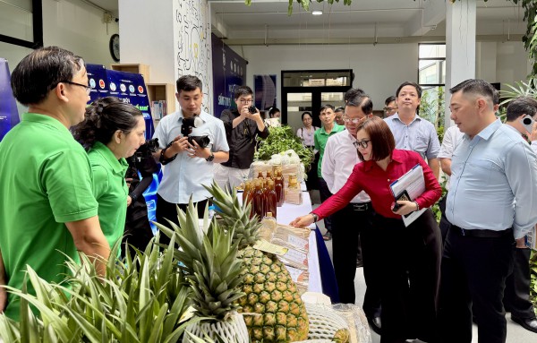 TP.HCM: Sáng tạo số trong khu vực công phát triển mạnh TP.HCM: Sáng tạo số trong khu vực công phát triển mạnh