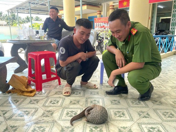 5 thanh niên ở Khánh Hòa giao nộp tê tê Java quý hiếm cho công an
