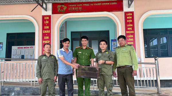 Đồng Nai: Người dân giao nộp rùa núi vàng, vượn má vàng quý hiếm 'đi lạc' Đồng Nai: Người dân giao nộp rùa núi vàng, vượn má vàng quý hiếm 'đi lạc'