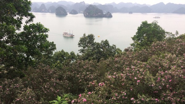 Bãi biển ít người biết tới ở Việt Nam vào top 100 đẹp nhất thế giới Bãi biển ít người biết tới ở Việt Nam vào top 100 đẹp nhất thế giới