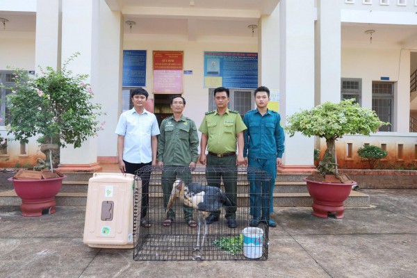 Đồng Nai: Thăm vườn, người dân bất ngờ phát hiện tê tê Java quý hiếm