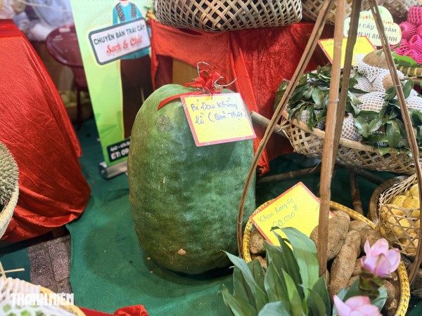 Loạt trái cây độc lạ hút khách tại tuần lễ nông sản vùng miền Bình Đông Loạt trái cây độc lạ hút khách tại tuần lễ nông sản vùng miền Bình Đông