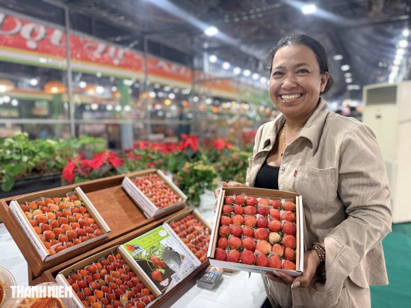 Loạt trái cây độc lạ hút khách tại tuần lễ nông sản vùng miền Bình Đông Loạt trái cây độc lạ hút khách tại tuần lễ nông sản vùng miền Bình Đông