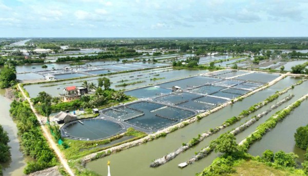 Cà Mau lập 13 phường: Năm Căn lên phường, không gian chiến lược ven biển Cà Mau lập 13 phường: Năm Căn lên phường, không gian chiến lược ven biển