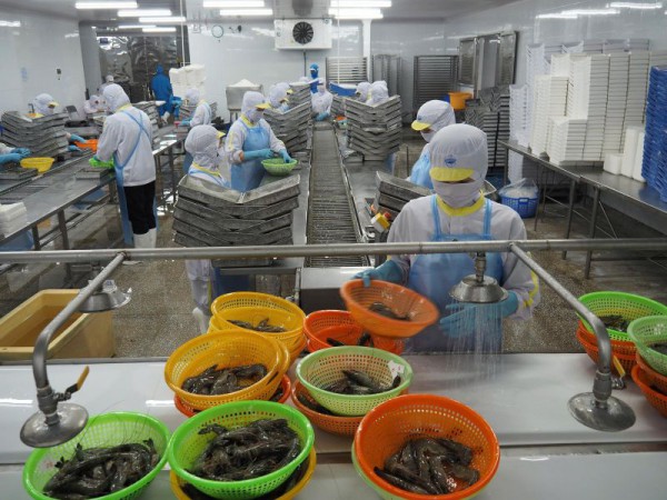 Cà Mau lập 13 phường: Năm Căn lên phường, không gian chiến lược ven biển Cà Mau lập 13 phường: Năm Căn lên phường, không gian chiến lược ven biển
