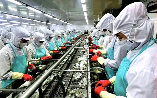 Cà Mau lập 13 phường: Vì sao Lương Thế Trân trở thành phường công nghiệp mới?