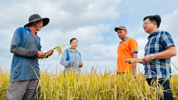 Cà Mau lập 13 phường: Vì sao Lương Thế Trân trở thành phường công nghiệp mới?