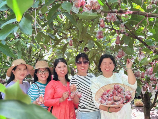 Cù lao Phong Nẫm không chỉ độc lạ măng cụt 100 tuổi