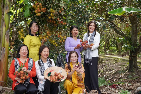 Cù lao Phong Nẫm không chỉ độc lạ măng cụt 100 tuổi