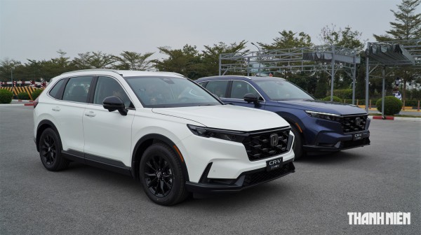 Xe crossover cỡ trung: Doanh số Ford Territory áp sát Mazda CX-5