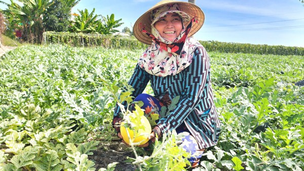 Cà Mau thành lập 13 phường: Vì sao Phước Long là trung tâm trung chuyển?