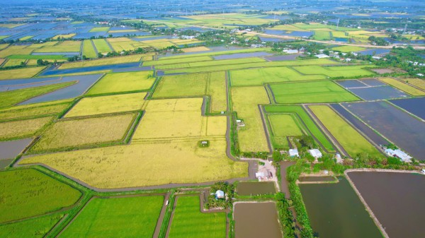 Cà Mau lập 13 phường: Hồng Dân với khát vọng vươn lên mạnh mẽ