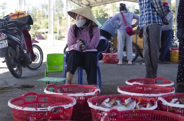 Chợ cá Cửa Tùng tấp nập du khách 'canh' mua hải sản tươi rói