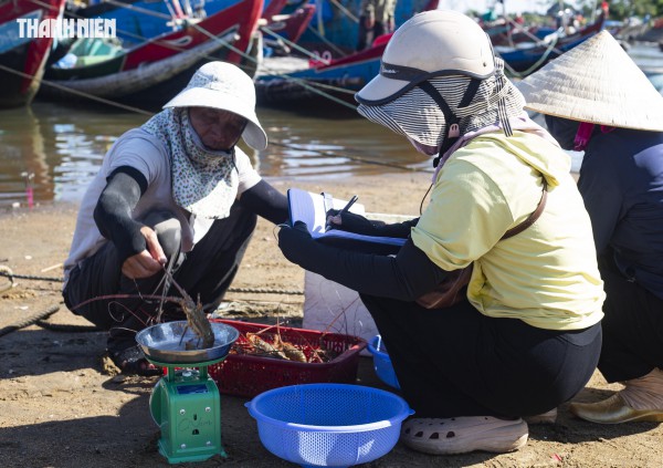 Chợ cá Cửa Tùng tấp nập du khách 'canh' mua hải sản tươi rói