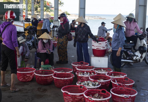 Chợ cá Cửa Tùng tấp nập du khách 'canh' mua hải sản tươi rói