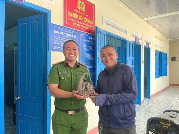 5 thanh niên ở Khánh Hòa giao nộp tê tê Java quý hiếm cho công an