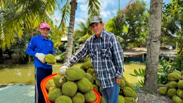 Cả nước nhập siêu 14 tỉ USD, nông sản vẫn xuất siêu 7,5 tỉ USD